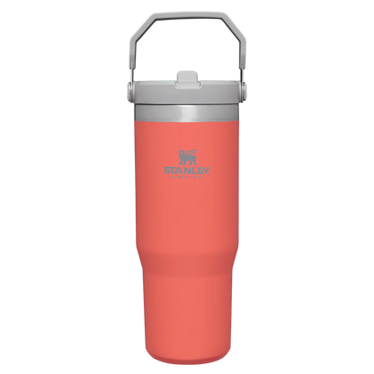 Stanley IceFlow™ Flip Straw Tumbler Pipetli Termos | 0.89L